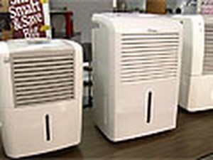 Air Purifier vs Dehumidifier