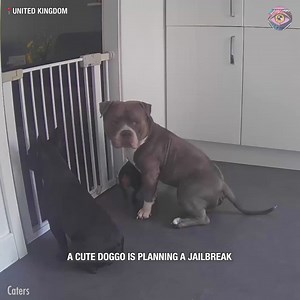 3.3K views · 26 reactions | He’s channeling his inner Steve McQueen | SLICK SLIME SAM | Facebook