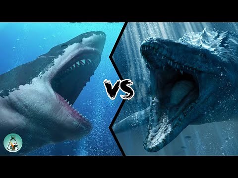 MEGALODON VS MOSASAURUS - Who Would Win?