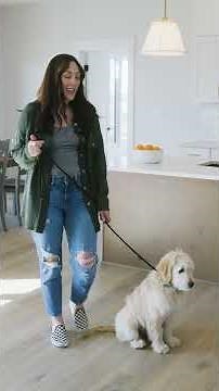 Transforming Your Home: See the Difference New LVP Flooring Makes!