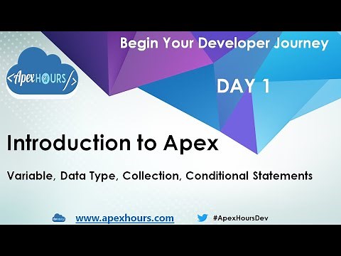 Introduction To Apex | DataType | Collection | Conditional Statements | Day 1