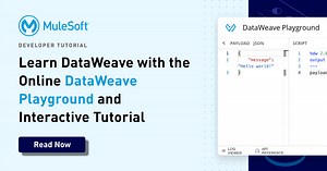 Learn DataWeave with the Online DataWeave Playground and Interactive Tutorial