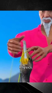 Amazing Physics Experiments & Science Facts