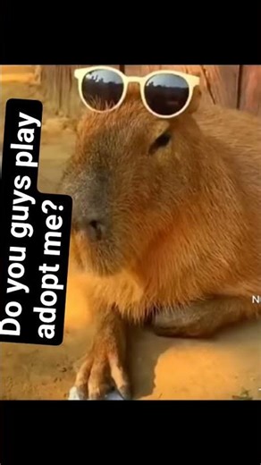 Do you play adopt me?