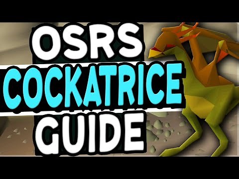 The Ultimate Cockatrices Slayer Guide Old School Runescape