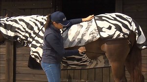 6.8K views · 22 reactions | How to with the Buzz-Off Fly Rugs! | Bucas | Facebook