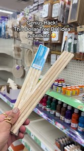 Dollar Tree DIY: Brilliant Home Organization Hack!