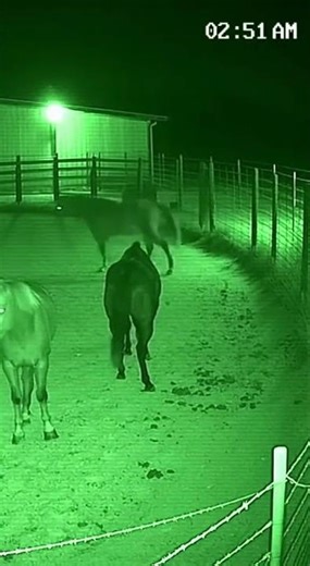 This Security Camera Recorded What No One Can Explain