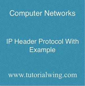 IP Header Protocol Structure With Example - Tutorialwing