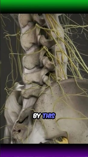 This Is What Your Nerves REALLY Look Like🧠 | Nerve Animation | Real Nerve Structure⚡ #shorts