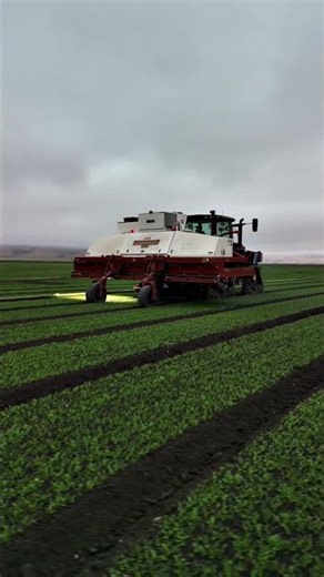 Revolutionize Your Weeding with LaserWeeder