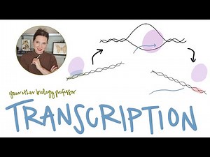 Transcription Simplified - from DNA to RNA!