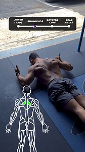2.5M views · 35K reactions | *Scapula Stability* ⚙️ Here are 4...