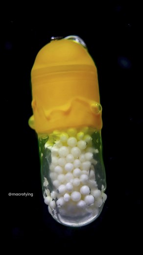 Exploring the World of Macroscopy: From Chemistry to Health