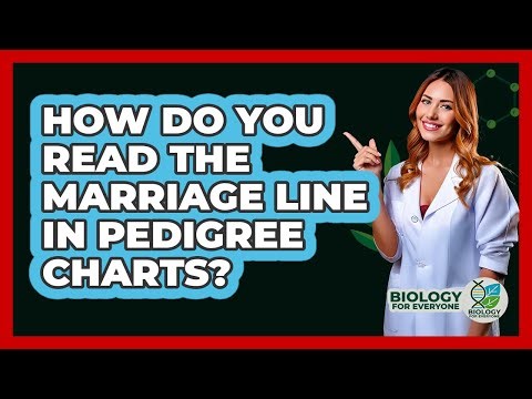 How Do You Read The Marriage Line In Pedigree Charts? - Biology For Everyone