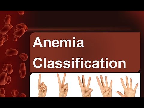 Anemia classification