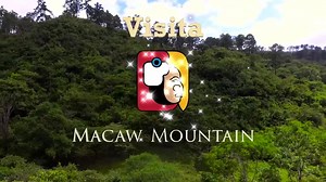22K views · 118 reactions | Macaw Mountain Bird Park y Reserva...