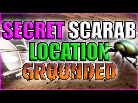 BEST Scarab Farm / Secret Location - Grounded