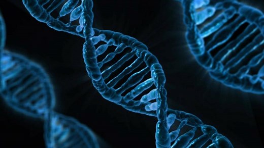 Molecular Genetics BSc | King's College London