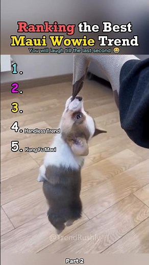 Ranking The Best Maui Wowie Trend Going back to Honolulu