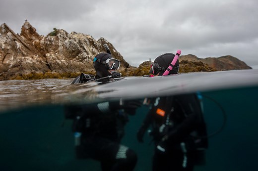 10 Things You Should Never Do Immediately After Diving