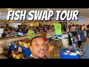 The *RAREST* Selection of Fish | Quad City Fish Swap Tour
