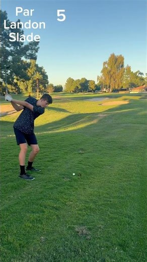 Hole 8 at MVCC (birdie alert)