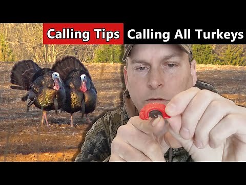 8 Turkey Calling Tips In 8 Minutes! - Calling All Turkeys