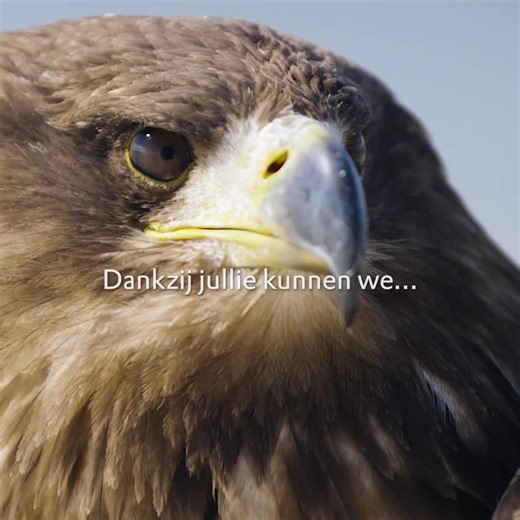 21K views · 165 reactions | Dankjewel, Nationale Postcode Loterij-deelnemers!  Van de aanleg van de Marker Wadden en het programma Rotterdam de boer op! tot de bescherming van natuurgebieden in heel Nederland – mede dankzij jullie deelname maken we dit mogelijk!  Samen laten we de natuur leven!  Bekijk de video en ontdek wat we mede dankzij jullie steun hebben bereikt! | Natuurmonumenten | Facebook