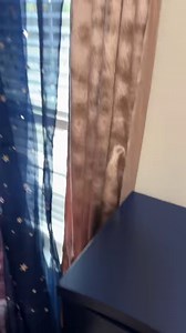 13K views · 194 reactions | This is the first time my girls have...