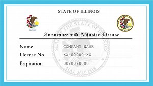 Illinois Insurance and Adjuster License | License Lookup