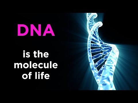 Introduction to Biology: What is Life?
