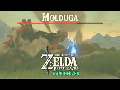 BOSSES CAN NOW SPAWN EVERYHWERE (BOTW RANDOMIZER)