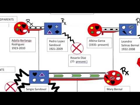 Systems Theory Overview for Social Work