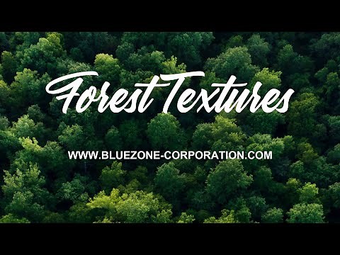 Forest Textures - Wood Sound Effects - Broken Wood Sounds - Cracking Wood Sounds - Wood Impacts