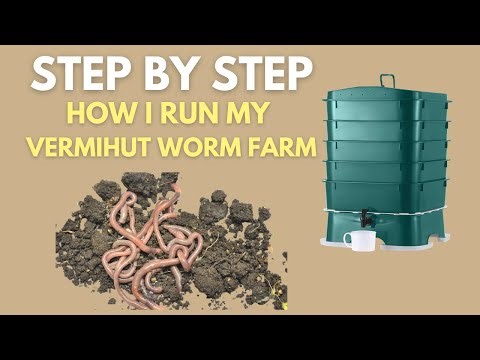 My Full VermiHut Worm Farm Routine (30-Day Update) | How I Run This Worm Bin + BIG FEEDING