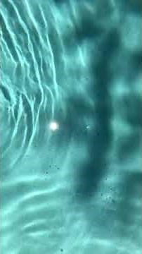 Easiest and Best Black Algae removal from pool