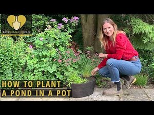How to Plant a Pond in a Pot - Katie Rushworth