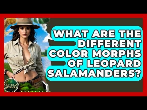 What Are The Different Color Morphs Of Leopard Salamanders? - Reptilian Wonders