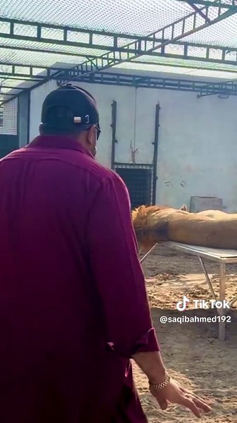 Exploring Mian Farmhouse with Wildlife Lover Crew07