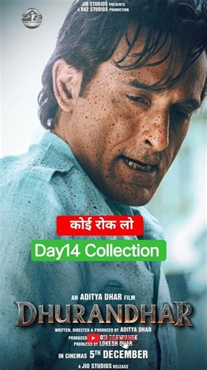 dhurandhar box office collection || Ranveer Singh || Akshay Khanna ||