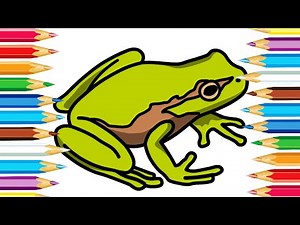 How to Draw a Frog in 5 Easy Steps