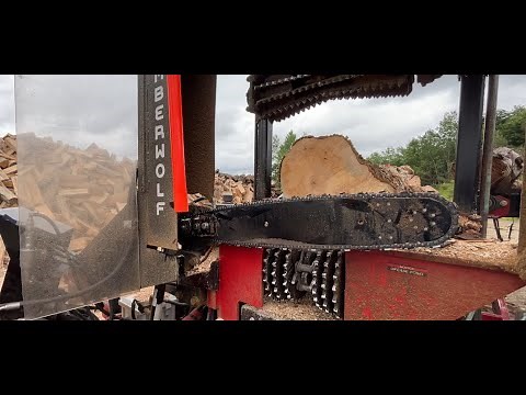 Why Should YOU Buy a Timberwolf Processor?