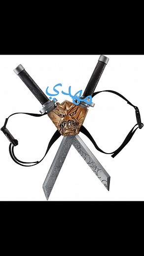 $%Mohammed Ben Nasseur%$ sur TikTok