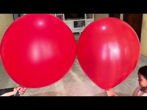 Sensation! 24" vs 36" Balloon Collaboration Makes Your Eyes Don't Blink!"
