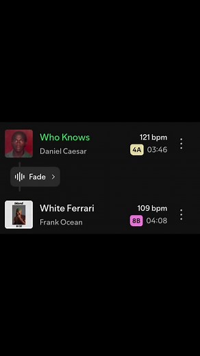 Understanding the Meaning Behind 'White Ferrari'
