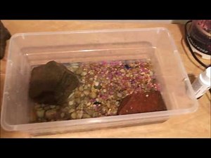 EASY DIY FISH TANK FOR CRAYFISH! HOME MATERIALS!