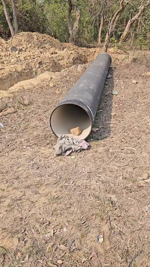 Big size python came out from inside the pipe | Snake in the village