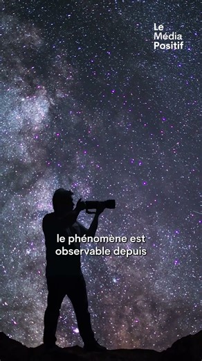 This week, the sky will light up with the peak of the meteor shower!