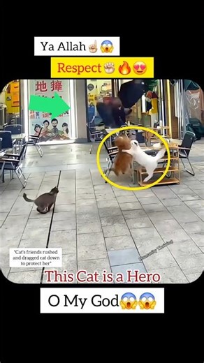 Introducing the "VitalWear SmartBand," a next-generation wearable gadget🎉